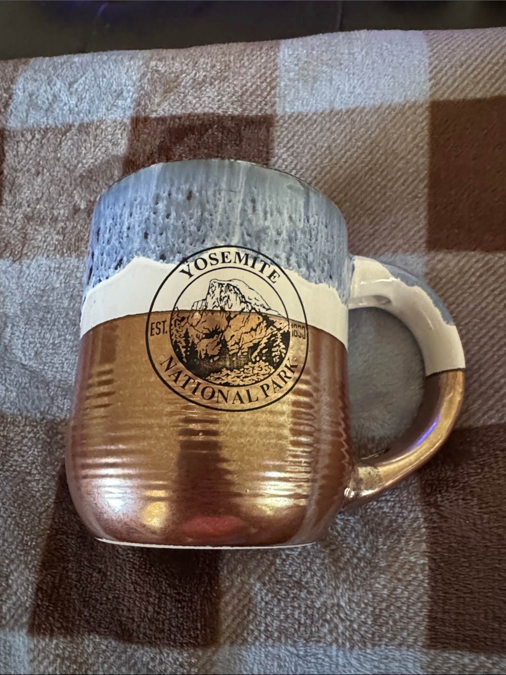 Yosemite National Park Blue Copper Coffee Mug